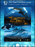 Dauphins et baleines 3D